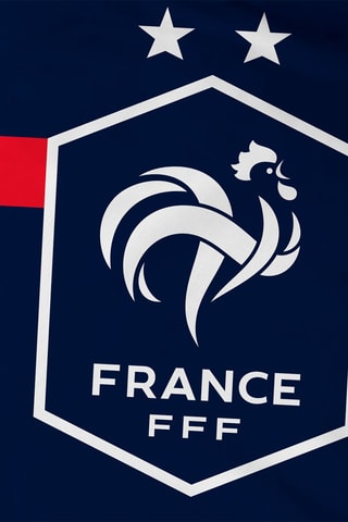 Parure copripiumino in cotone 115 fili/cm² FFF - Blu