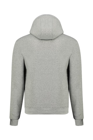 Sudadera con capucha Flageak - Gris jaspeado