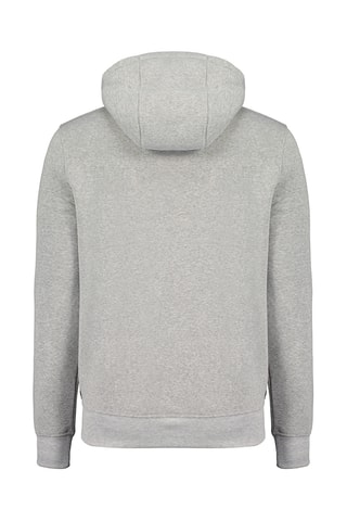 Sudadera con capucha Garleak - Gris jaspeado