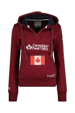 Sudadera con capucha Gyrelle - Burdeos