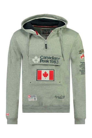 Sudadera con capucha Galapagos - Gris claro