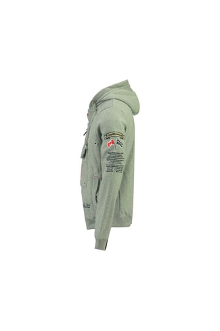 Sudadera con capucha Galapagos - Gris claro