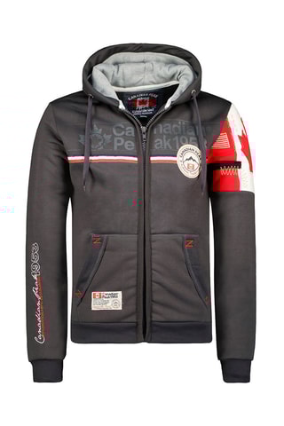 Sudadera con capucha Faponeak - Gris oscuro