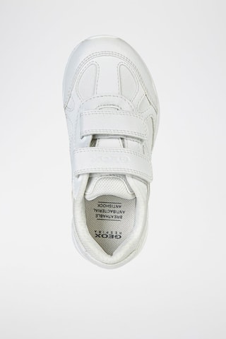 Baskets Pavel - Blanc