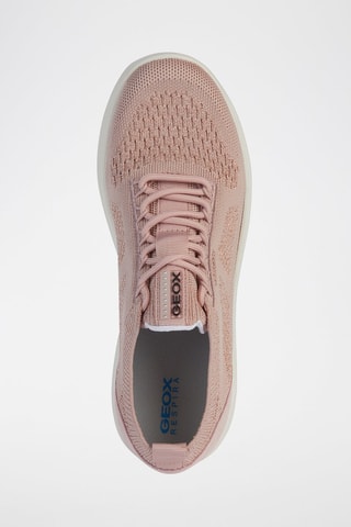 Baskets en nubuck Spherica - Vieux rose