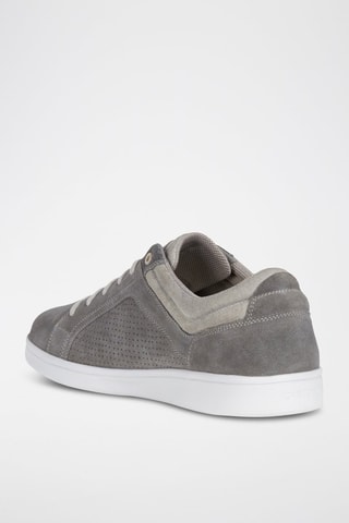 Baskets en nubuck Warrens - Anthracite