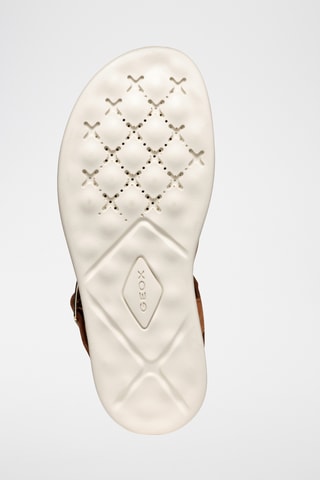 Sandales en nubuck Xan2S - Marron