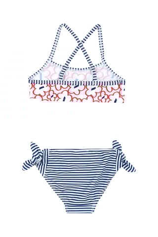 Bikini - Wit en Marineblauw