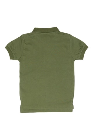 Polo  - Blanco y verde