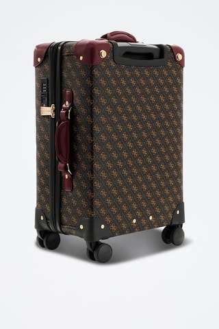 Handbagagetrolley - Bruin