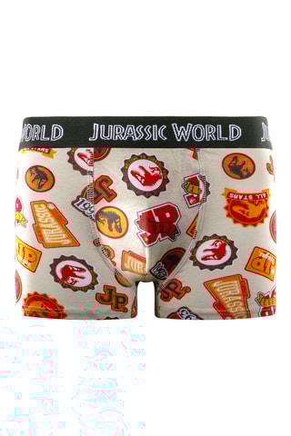 4 boxers Jurassic World - Noir