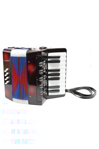 Accordeon -  Vanaf 3 Jaar