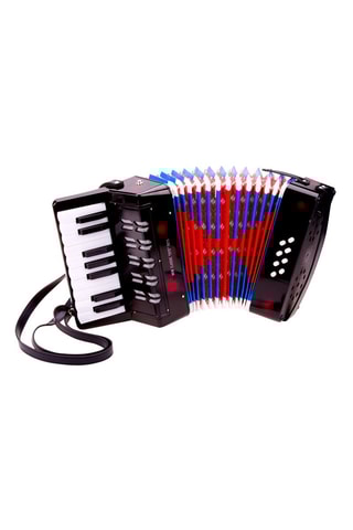 Accordeon -  Vanaf 3 Jaar