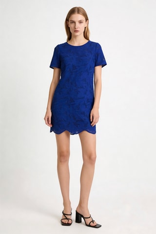 Robe droite en dentelle Calvie - Bleu roi