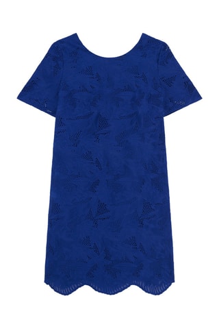 Robe droite en dentelle Calvie - Bleu roi