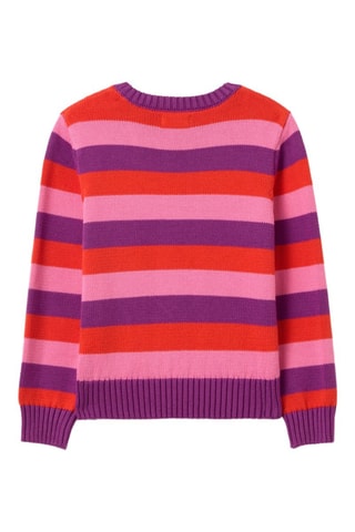 Jersey - Violeta y rosa