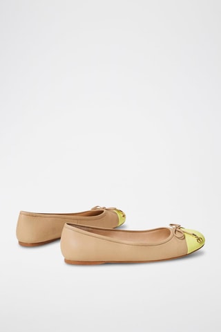 Ballerines - Marron clair et vert clair