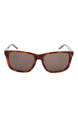 Lunettes de soleil homme - Catégorie 3 - Pierre Cardin