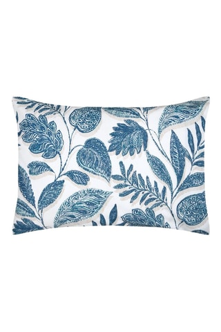 Federa - Bianco e blu