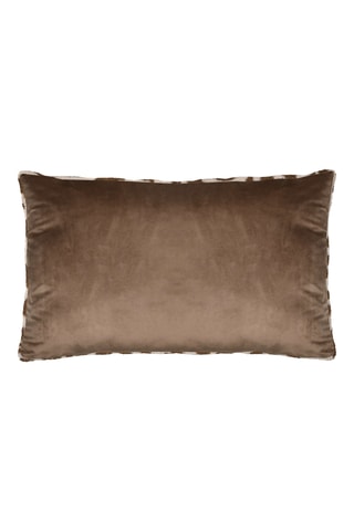 Coussin - Beige - 50 x 80 cm