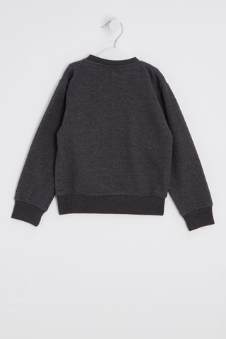 Felpa Litrubycurl - Antracite melange