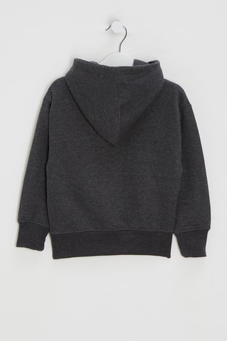 Felpa con cappuccio Litcharly - Antracite melange