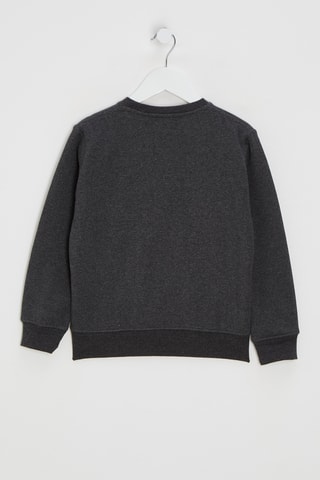 Felpa Litrubybr - Antracite melange