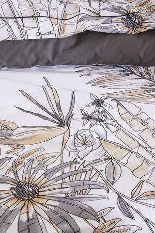 Funda de almohada de algodón 57 hilos/cm² Sumatra - Beige - 50 x 70 cm