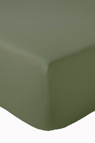 Sábana bajera de algodón peinado 80 hilos/cm² Alex - Caqui