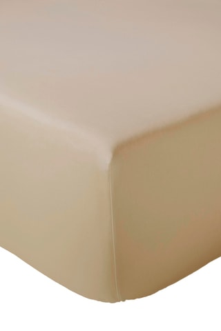 Sábana bajera de algodón peinado 80 hilos/cm² Alex - Marrón