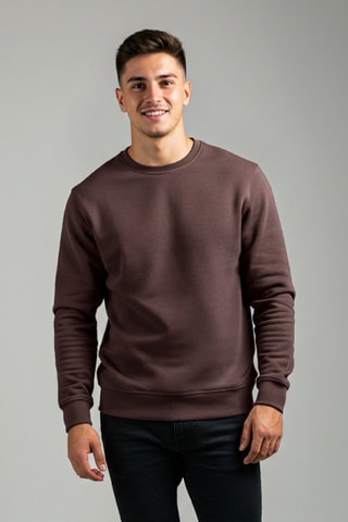 Felpa regular - Marrone