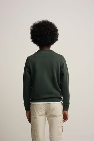 Felpa - Verde
