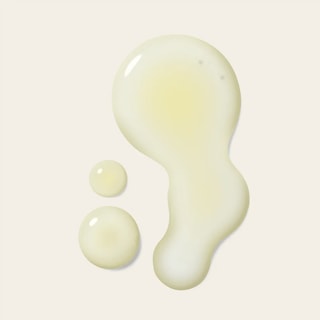 Olio antiossidante - 100 ml