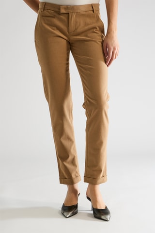 Chino - Camel