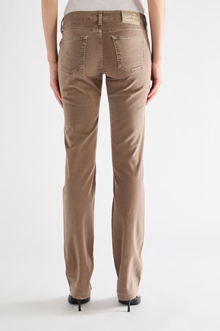 Chino - Marron