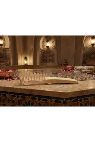 Brosse à cheveux démêlante