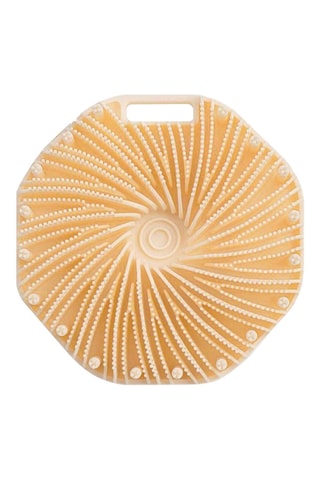 Brosse de bain & douche