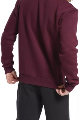 Sweat CL F Linear Crew Bordeaux