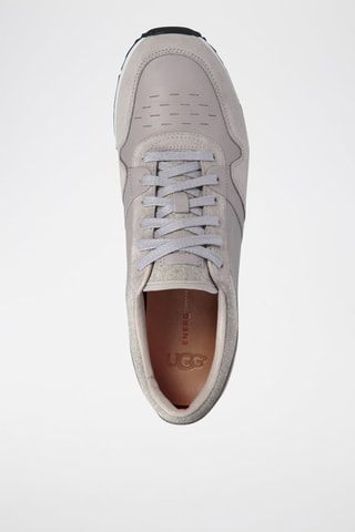 Sneakers en cuir Trigo Gris