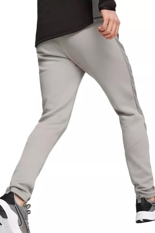 Jogging Puma FD Evost Gris
