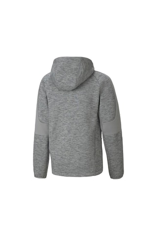 Sweat à capuche Evostripe - Gris chiné