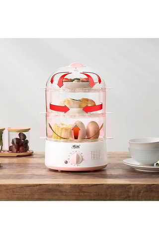 BPA-vrije thermoplastische elektrische stoomkoker- 3 niveaus.