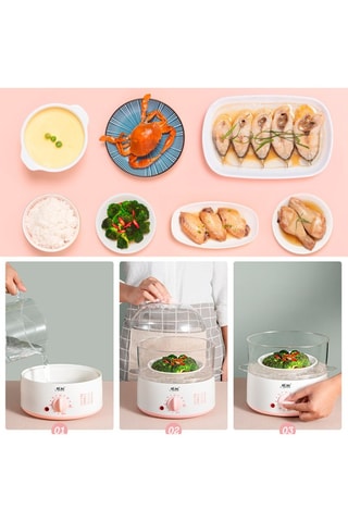 BPA-vrije thermoplastische elektrische stoomkoker- 3 niveaus.