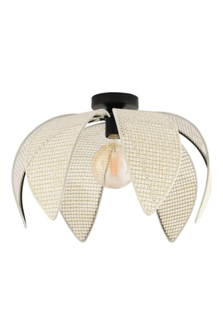 Candeeiro de teto - Bege - 40 W