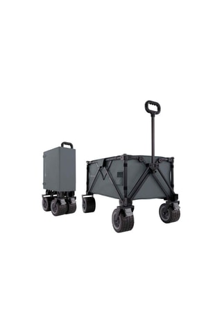 Inklapbare Boodschappentrolley Rollster - Grijs - T/m 100 kg