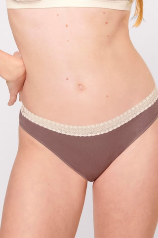 2 culottes GO Ribbed H - Marron et écru - Blanc et marron