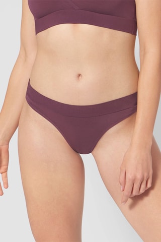 Culotte GO Allround Mini - Prune - Marron
