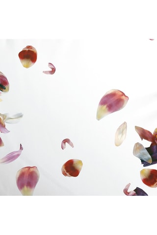 Taie d'oreiller en satin de coton 200 fils/cm² Aurore - Blanc et rose