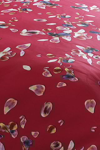 Parure de couette en satin de coton 80 fils/cm² Aurore - Rouge