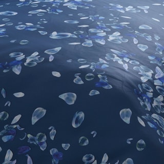 Parure de couette en satin de coton 200 fils/cm² Aurore - Bleu